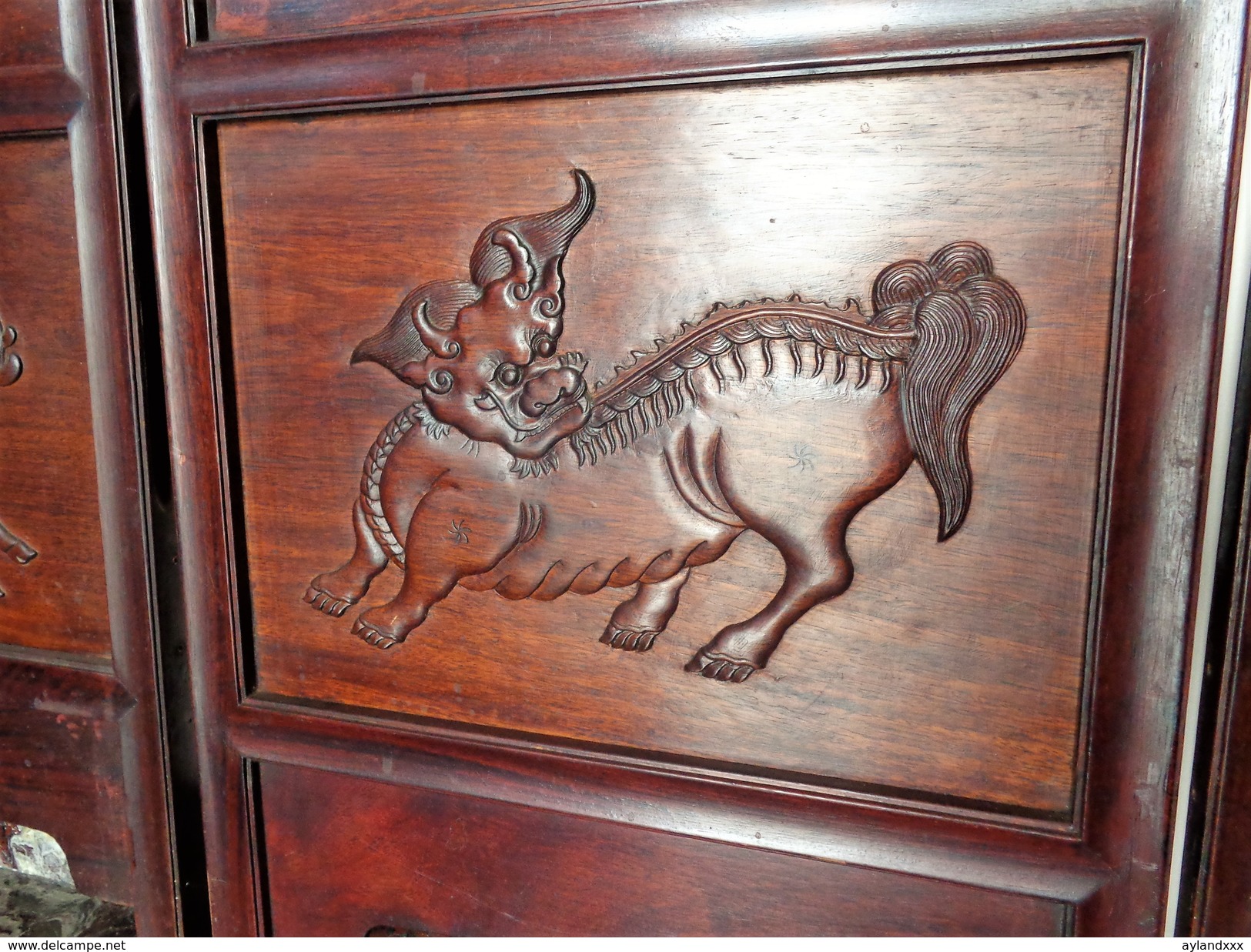 CINA (China): Fine Chinese panels screen made in hardwood (Rosewood ?)