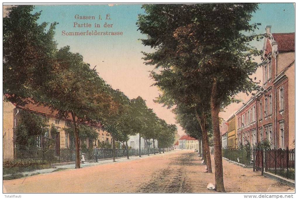 Gassen Lausitz Partie In Der Sommerfelder Straße Color 24.9.1914 Gelaufen - Neumark