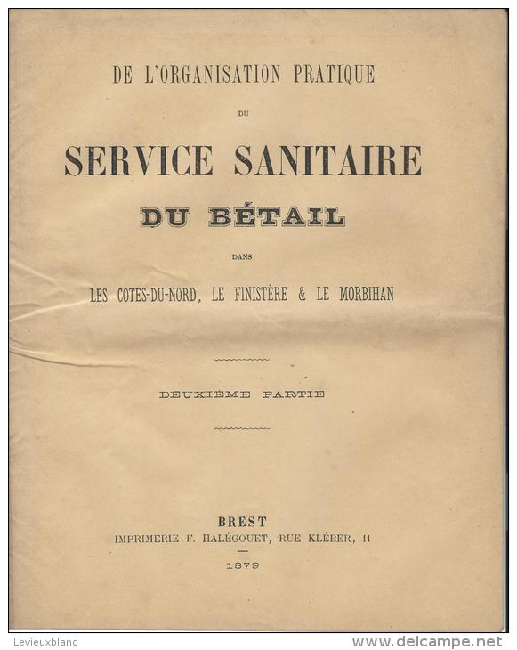 Agriculture/Elevage/ Monographie/ Deuxiéme  Partie/ Service Sanitaire Du Bétail/ BREST/1879  MDP11 - 1801-1900