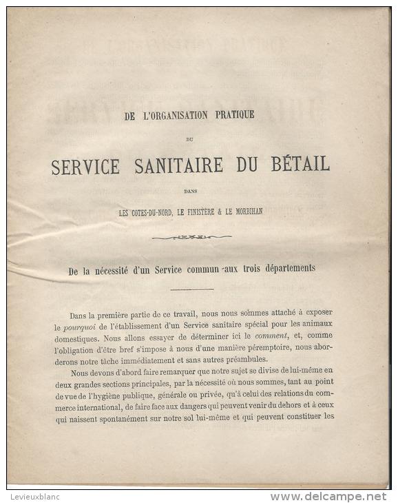 Agriculture/Elevage/ Monographie/ Deuxiéme  Partie/ Service Sanitaire Du Bétail/ BREST/1879  MDP11 - 1801-1900