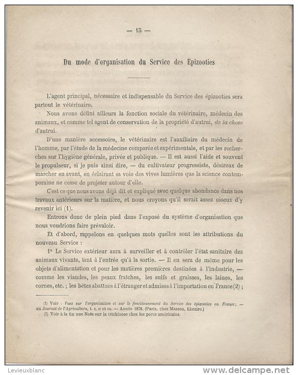 Agriculture/Elevage/ Monographie/ Deuxiéme  Partie/ Service Sanitaire Du Bétail/ BREST/1879  MDP11 - 1801-1900