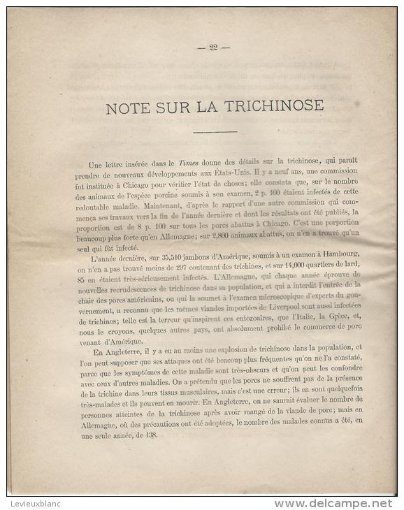 Agriculture/Elevage/ Monographie/ Deuxiéme  Partie/ Service Sanitaire Du Bétail/ BREST/1879  MDP11 - 1801-1900