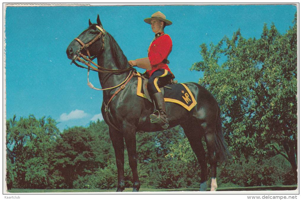 ROYAL CANADIAN MOUNTED POLICE  (1971) - Canada - Policeman On Horse - Politie-Rijkswacht