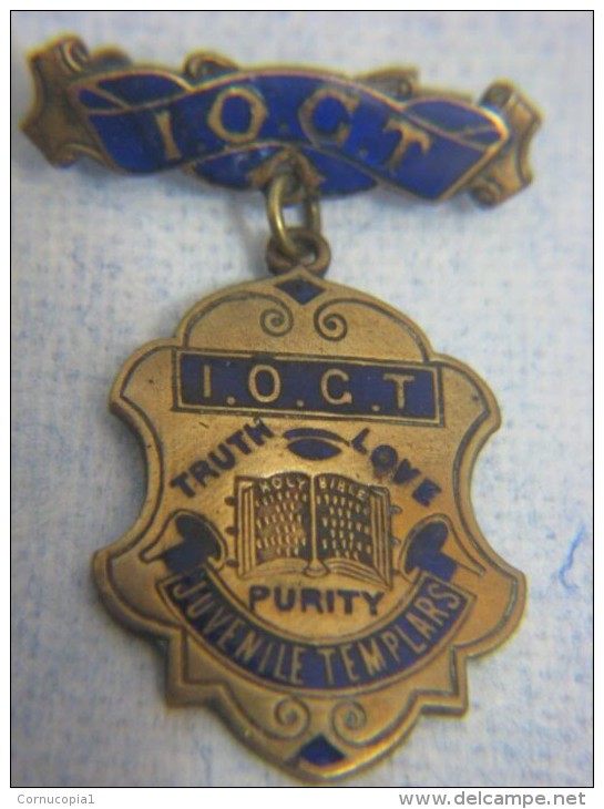 XIX Cent. IOGT Juvenile Templars Masonic Medal Jewel - Vrijmetselarij