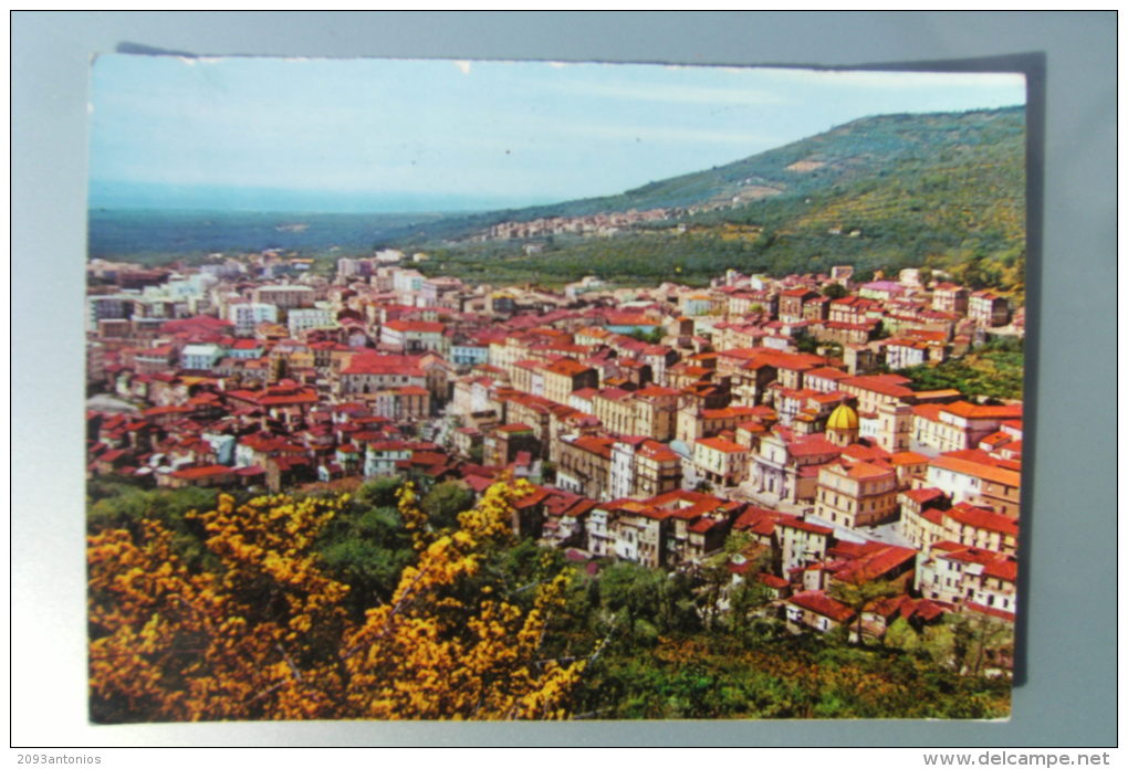 CARTOLINA Di  NICASTRO LAMEZIA TERME     A4720 VIAGGIATA - Lamezia Terme