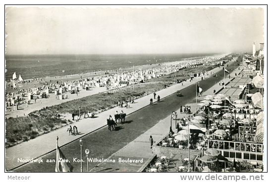 Noordwijk Aan Zee Kon. Wilhelmina Boulevard - Noordwijk (aan Zee)