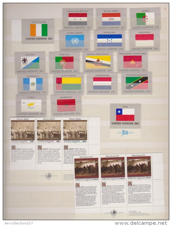 NATIONS UNIES //  Lot De Timbres Neufs ** - Other & Unclassified