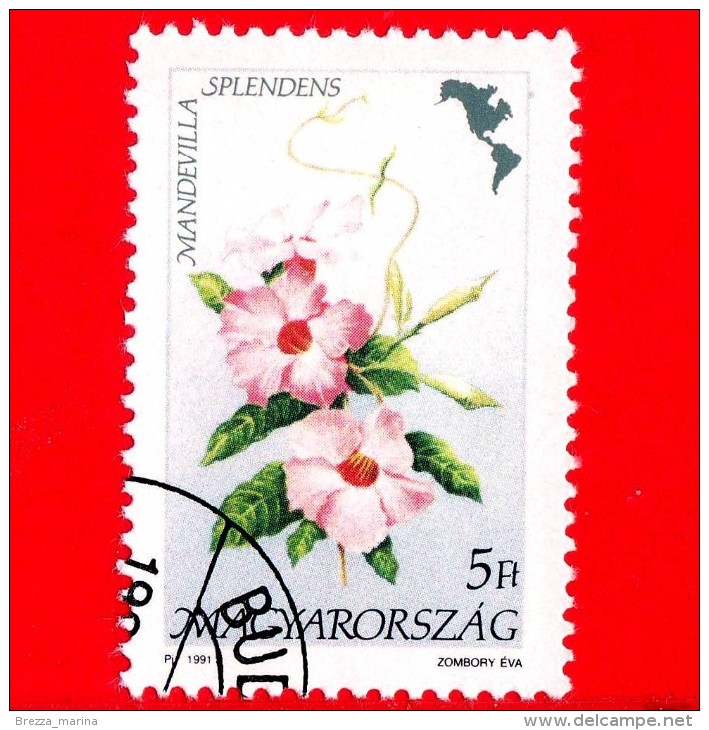 UNGHERIA - MAGYAR - 1991 - Flora D´America  - Fiori - Flowers - Mandevilla Splendens - 5 - Neufs