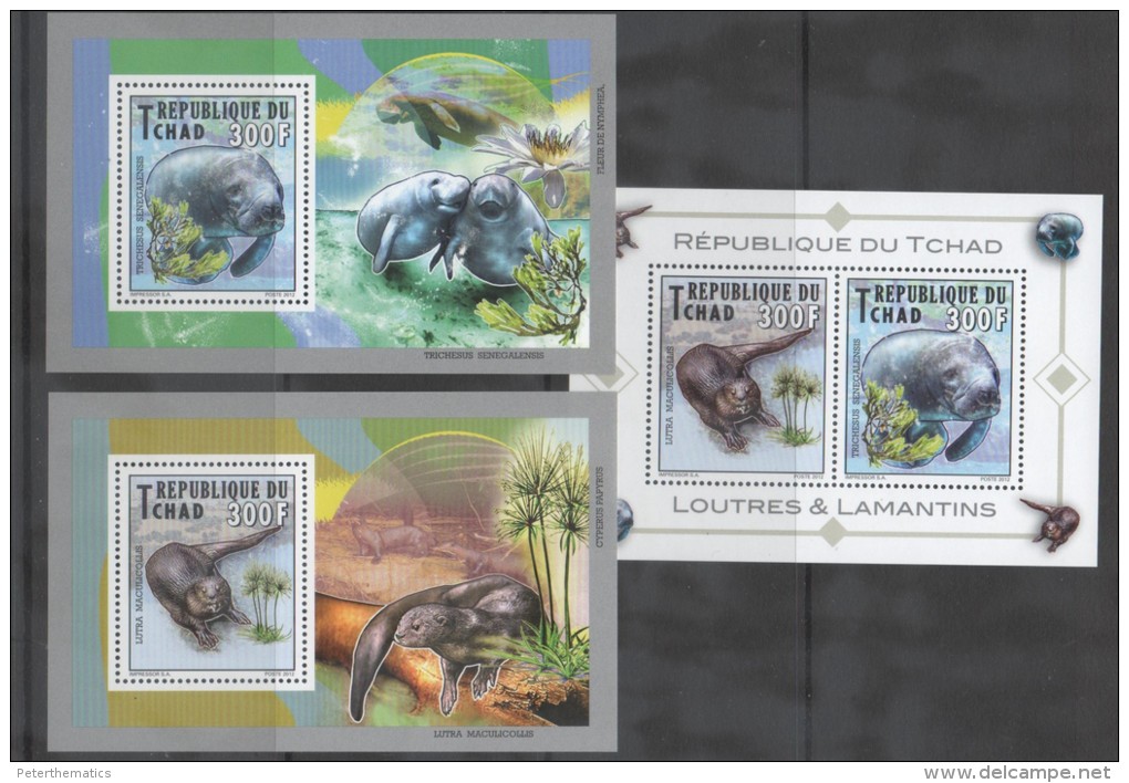 CHAD,MNH, 2013, MAMMALS, OTTERS, MANATEES, 2 DELUXE S/SHEETS + S/SHEET. - Other & Unclassified