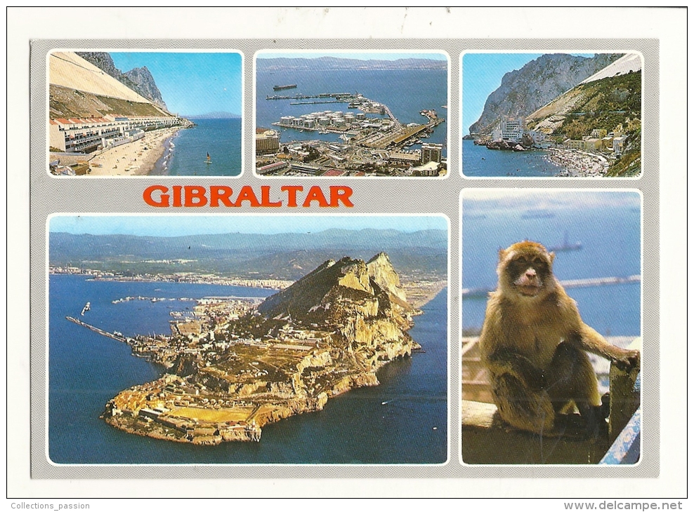 Cp, Gibraltar, Mult-Vues - Gibilterra