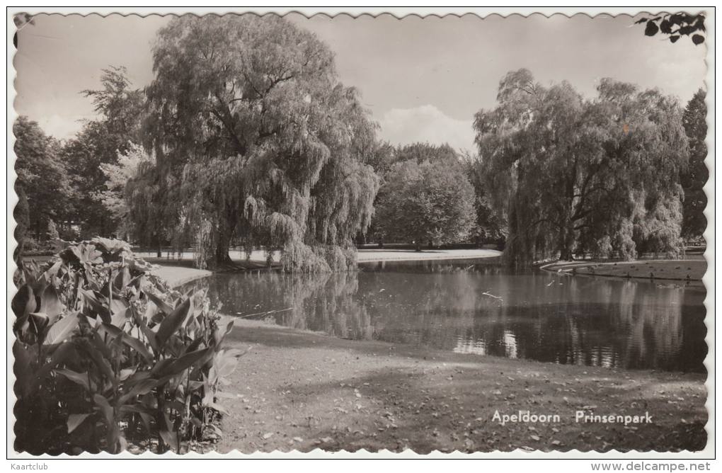 Apeldoorn: ´Prinsenpark´ - 1958  - Nederland/Holland - Apeldoorn