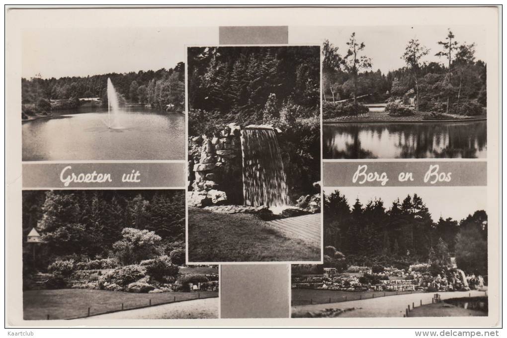 Apeldoorn: ´Groeten Uit Berg En Bos'  - 1952  - Multiview - Nederland/Holland - Apeldoorn