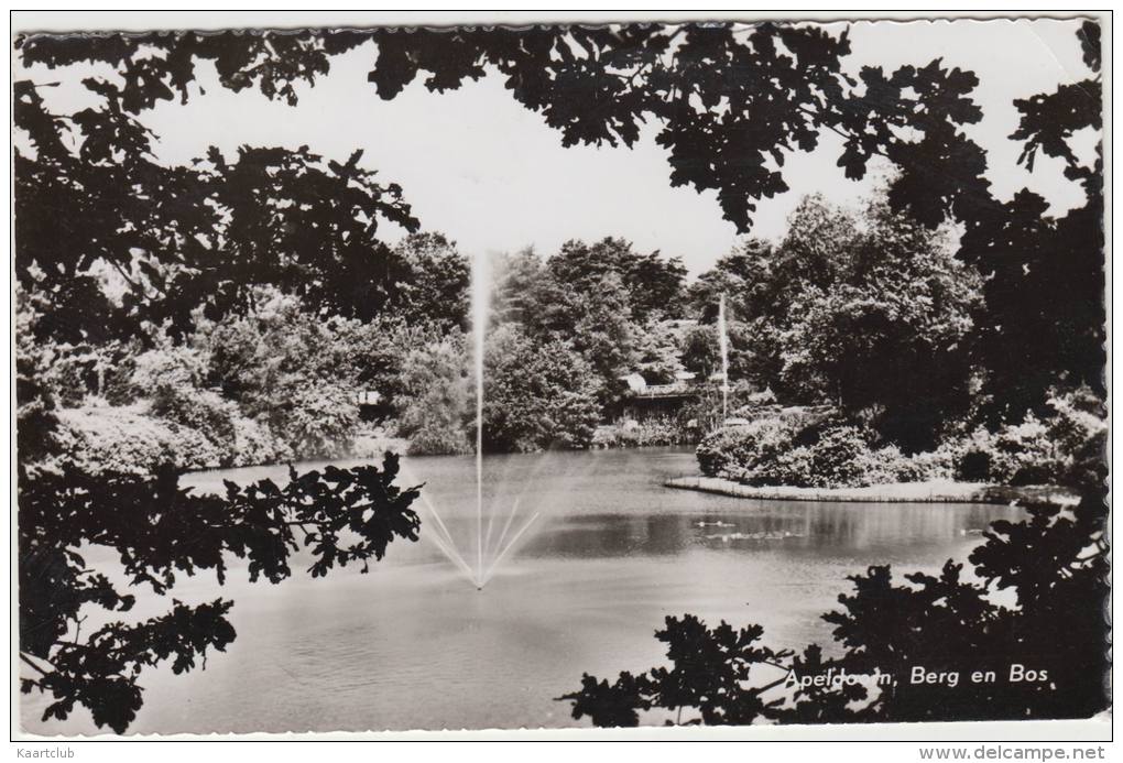 Apeldoorn: ´Berg En Bos´  - 1959  -  Nederland/Holland - Apeldoorn