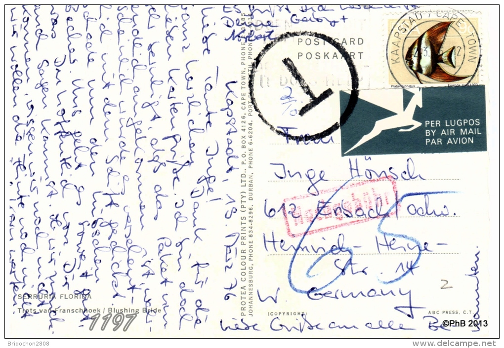 MARCOPHILIE POSTAL HISTORY KAAPSTAD CAPETOWN 1976 - Lettres & Documents