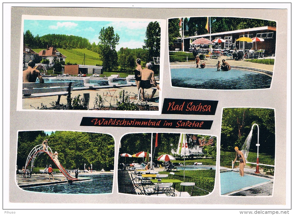 D4101   BAD SACHSA :  Waldschwimmbad Im Salztal ( Swimming-pool, Piscine) - Bad Sachsa