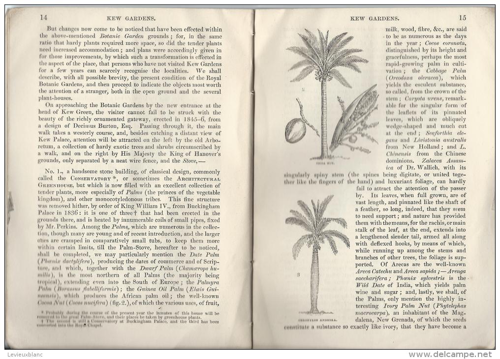 Botanique/Horticulture/Gu Ide / Royal Botanic Garden Of KEW/ W.J. HOOKER/ London/ 1848  LIV12 - 1800-1849