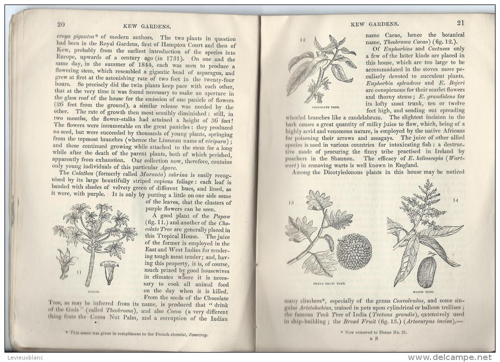 Botanique/Horticulture/Gu ide / Royal Botanic Garden of KEW/ W.J. HOOKER/ London/ 1848  LIV12