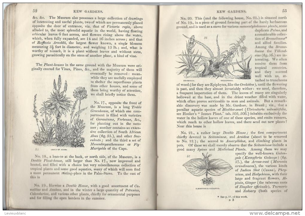 Botanique/Horticulture/Gu ide / Royal Botanic Garden of KEW/ W.J. HOOKER/ London/ 1848  LIV12