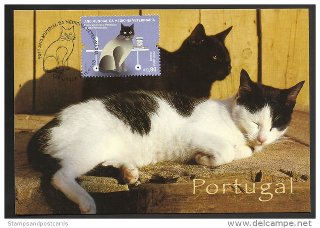 Portugal Chat Carte Maximum Année Internationale Médecine Vétérinaire  2011 Veterinary Cat Maxicard - Cartes-maximum (CM)