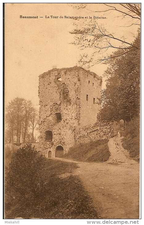 BEAUMONT LA TOUR DE SALAMANDRE ET LA POTERNE - Beaumont