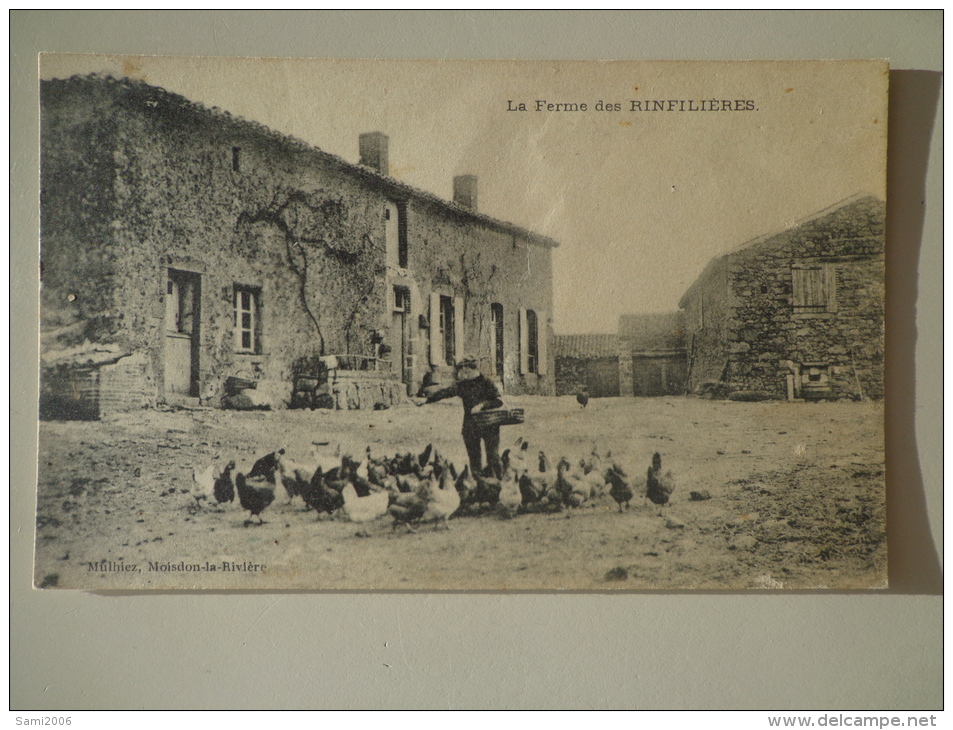 CPA 44 MOISDON LA RIVIÈRE LA FERME DES RINFILIERES  POULES - Moisdon La Riviere