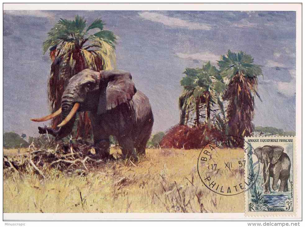 CM AEF - Eléphant - Brazzaville - 1957 - Autres & Non Classés