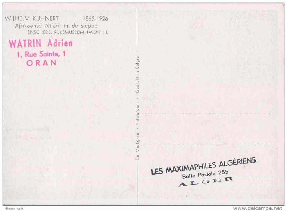 CM AEF - Eléphant - Brazzaville - 1957 - Autres & Non Classés