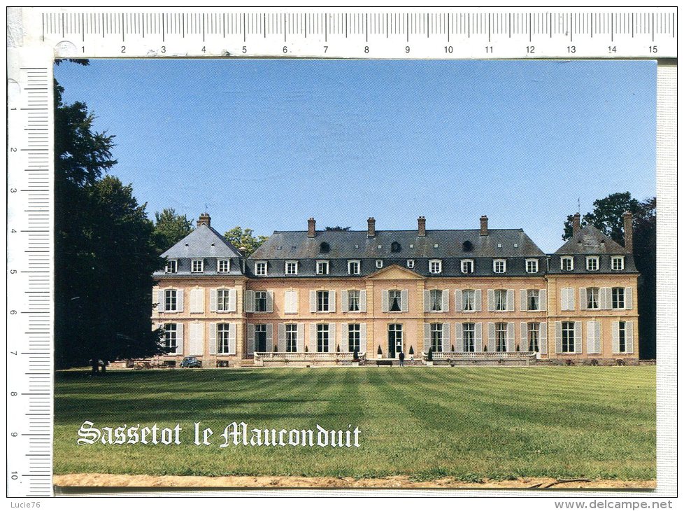 SASSETOT LE MAUCONDUIT  -  Le Château - Other & Unclassified