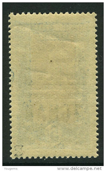 French:Tchad 1924-33 5f  MNH - Sonstige & Ohne Zuordnung