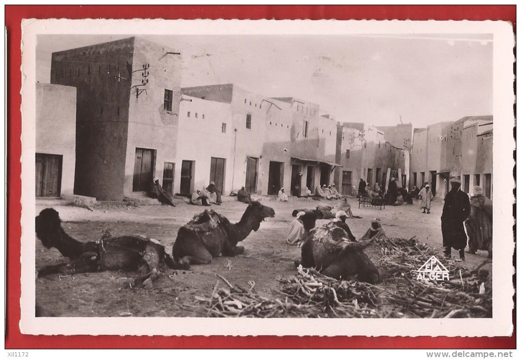 BAFR-03   Ghardaia Environs Béni Isguen, Place Des Enchères, Chameaux. Cachet 1956 Pour Lausanne - Ghardaia