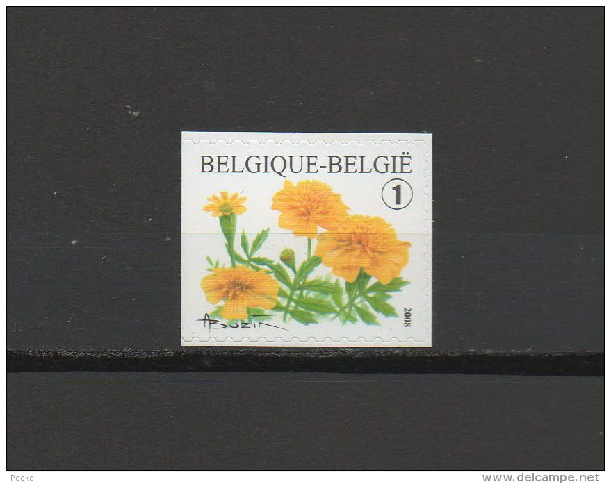 België Nr. 3785 Xx - Bloemen - Afrikaantje (uit Boekje B91) - Postprijs - Ongebruikt