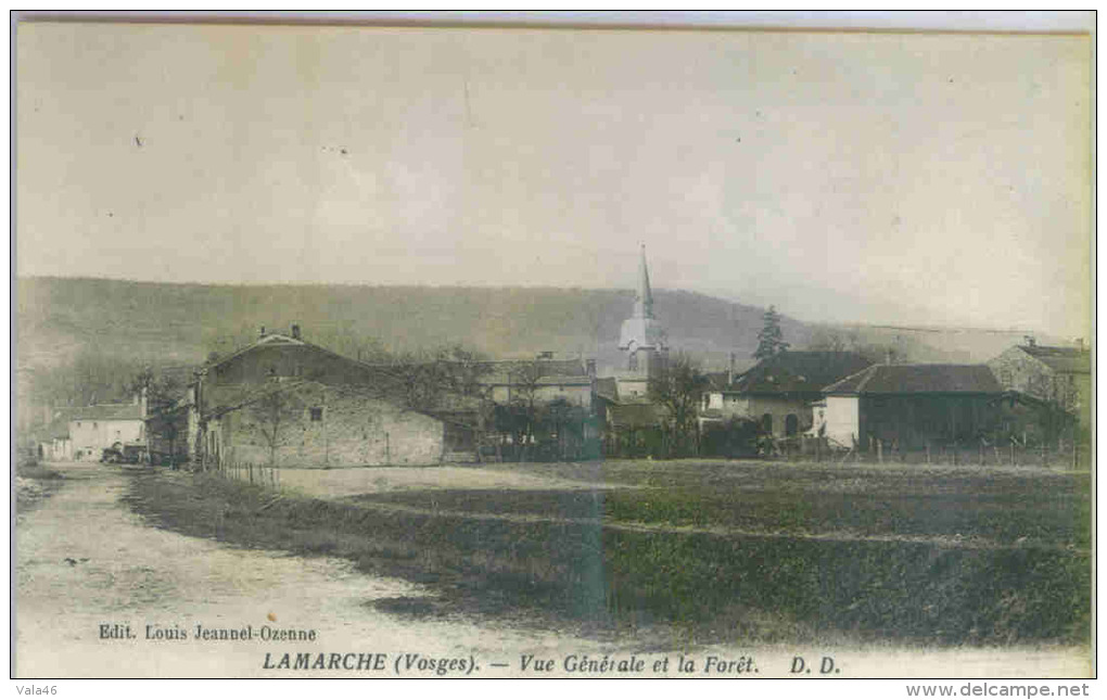 LAMARCHE (Vosges) - Vue Générale Et La Forêt - Lamarche