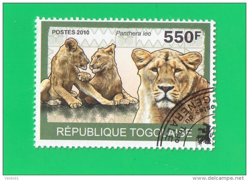 REP. TOGOLAISE ,,, PANTHERA  LEO  ,,, **  550 F. ** POSTE  2010  ,,, TBE - Togo (1960-...)