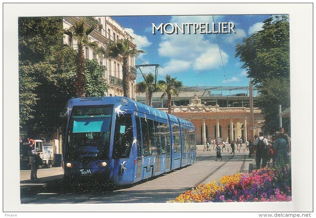 CPM 34 Montpellier Le Tramway Alstom - Tramways