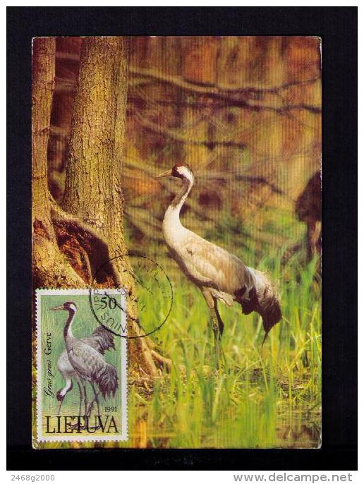 LIETUVA 1991 Vilnius Maximum Cards Postcards " Grus Grus Gervè " Kranich Oiseaux Birds Animals Faune Animaux Mc155 - Other & Unclassified