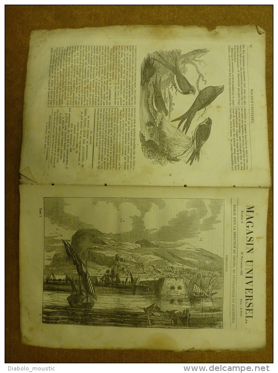 21 Nov. 1833 MAGASIN UNIVERSEL: Gibraltar ;Hirondelles(des Fenêtres,des Rivières,de Cheminée); Les Chapeaux D'hommes ; - 1800 - 1849