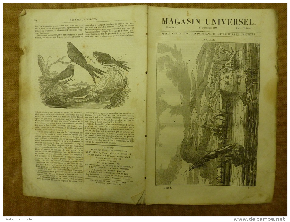 21 Nov. 1833 MAGASIN UNIVERSEL: Gibraltar ;Hirondelles(des Fenêtres,des Rivières,de Cheminée); Les Chapeaux D'hommes ; - 1800 - 1849