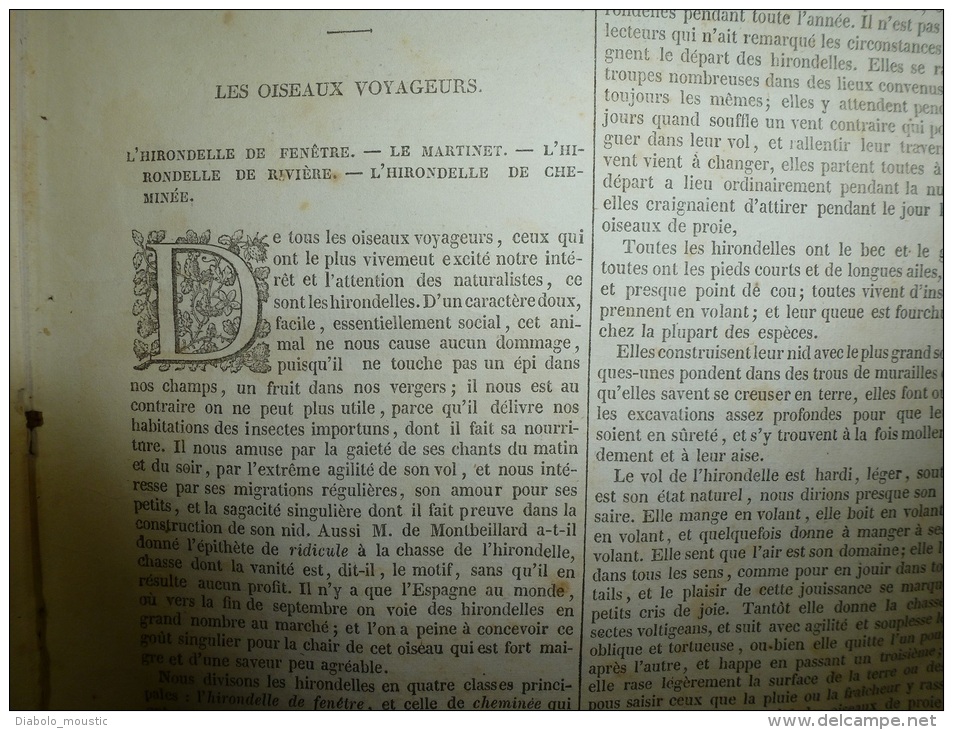 21 Nov. 1833 MAGASIN UNIVERSEL: Gibraltar ;Hirondelles(des Fenêtres,des Rivières,de Cheminée); Les Chapeaux D'hommes ; - 1800 - 1849