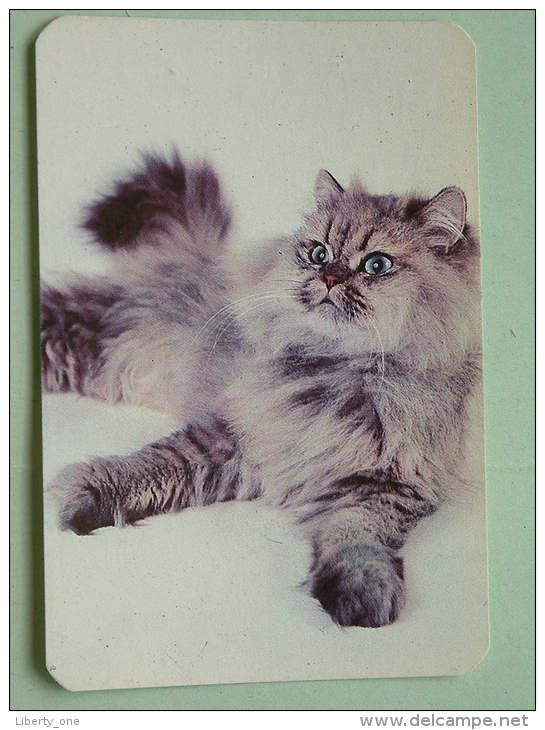 Cat / Kat / Chat 1993 ( Russia Sovjet Unie / 92-5689 ) ( Format 9 X 6 Cm - Zie Foto´s Voor Détails ! - Tamaño Pequeño : 1991-00