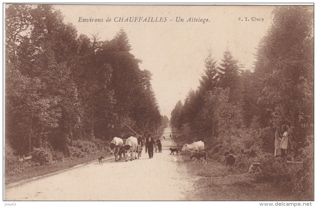 CHAUFFAILLES - ENVIRONS DE CHAUFFAILLES - UN ATTELAGE - Autres & Non Classés