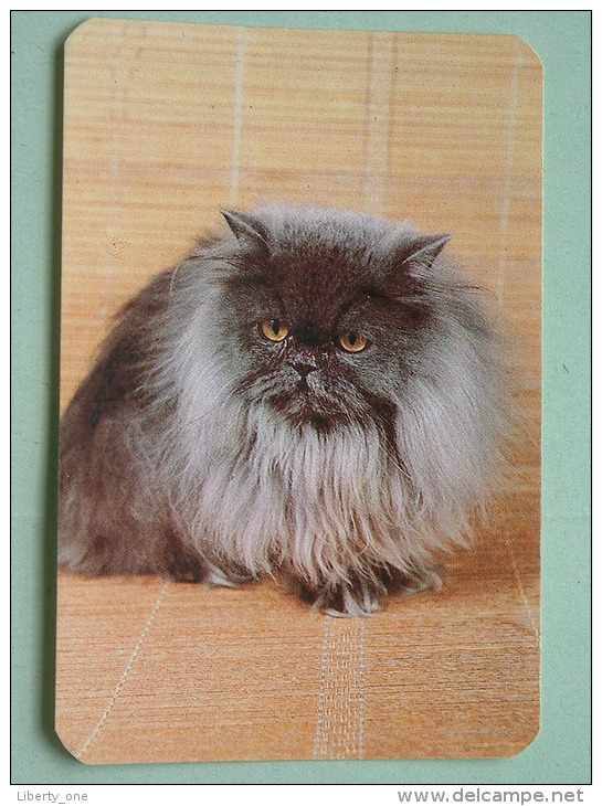 Cat / Kat / Chat 1993 ( Russia Sovjet Unie / 92-5689 ) ( Format 9 X 6 Cm - Zie Foto´s Voor Détails ! - Formato Piccolo : 1991-00