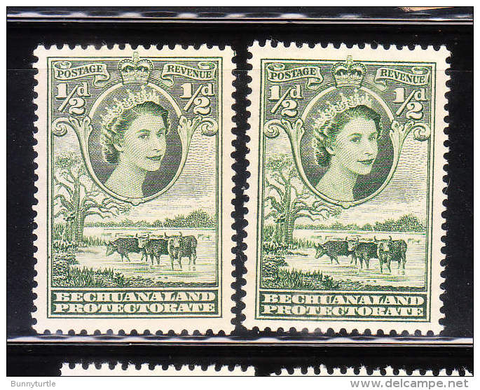 Bechuanaland Protectorate 1955-58 QE II 1/2p Mint - 1885-1964 Protectorat Du Bechuanaland