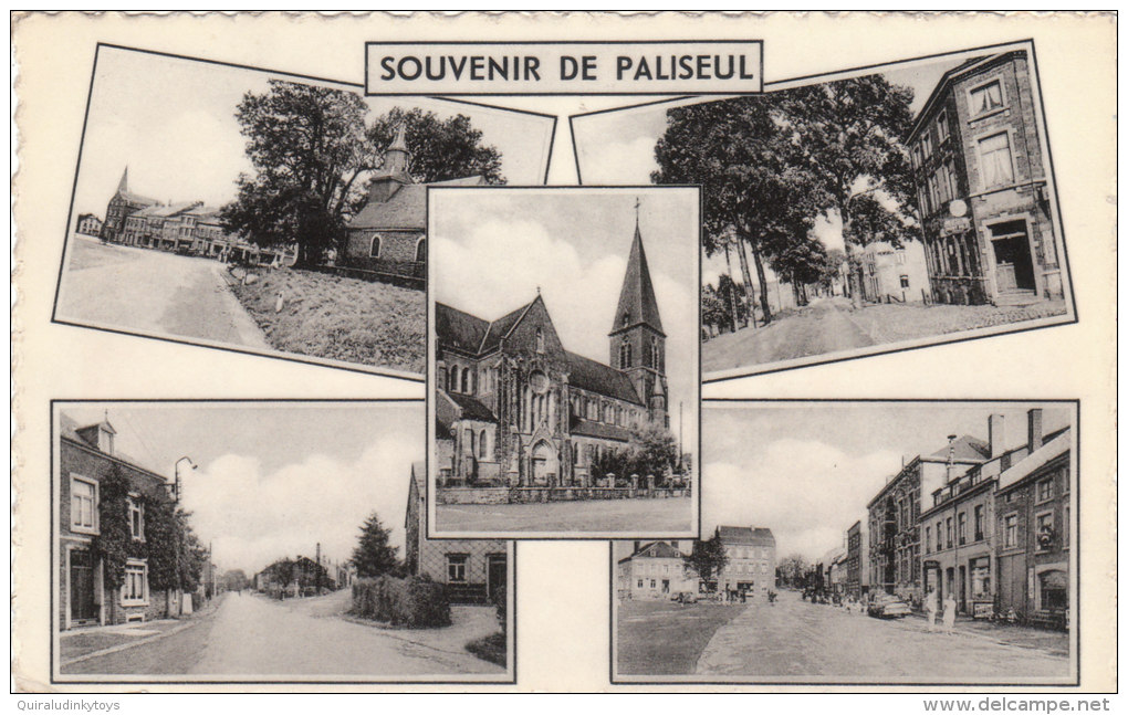 SOUVENIR DE PALISEUL  BELLE CPA MULTIVUES 9x14 Circulée   Bon état Voir Scans - Paliseul