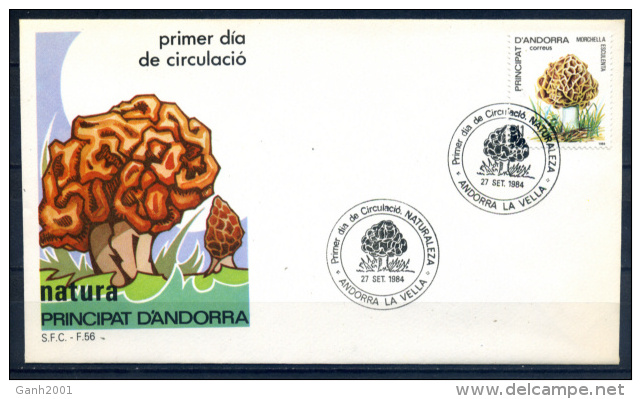 Spanish Andorra 1984 / Mushrooms FDC Fungi Setas SPD / Ie38   C - Mushrooms