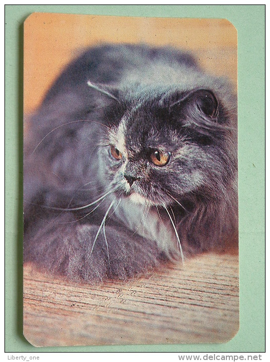 Cat / Kat / Chat 1993 ( Russia Sovjet Unie / 92-5689 ) ( Format 9 X 6 Cm - Zie Foto´s Voor Détails ! - Petit Format : 1991-00