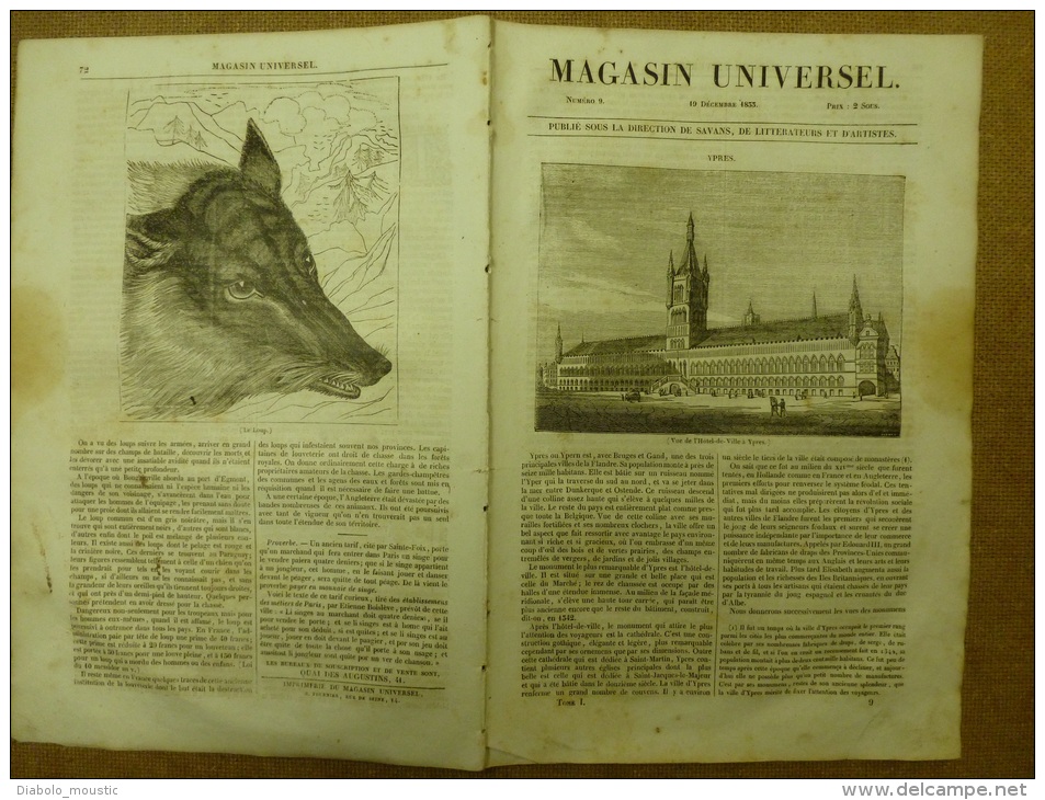 19 Déc. 1833 MAGASIN UNIVERSEL: Taaje Mahal à AGRA ; Hôtel De Ville D'Ypres; Loup De Buffon; Gawnpore - 1800 - 1849