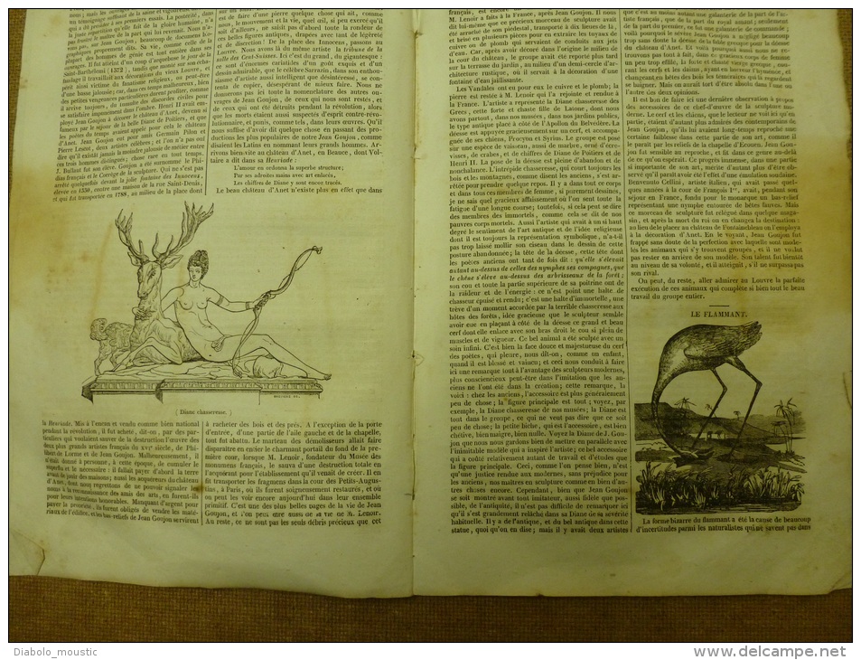 Janvier 1834  MAGASIN UNIVERSEL: Les Alligators; Zitza Près De PALERME; Diane De Goujon; Le Flammant - 1800 - 1849