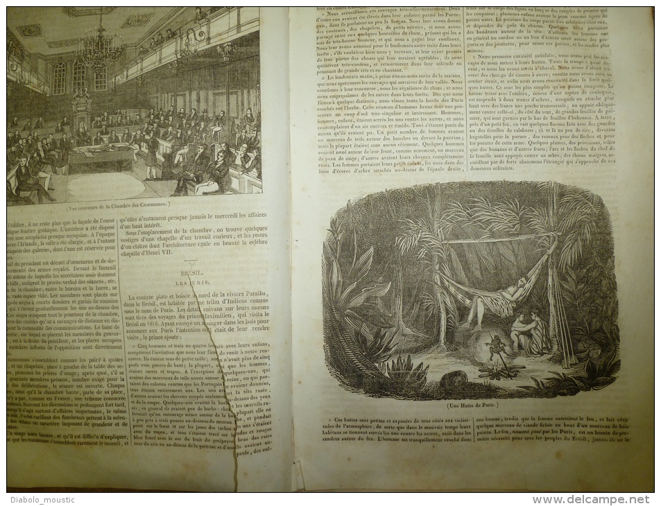 23 Jan. 1834  MAGASIN UNIVERSEL: Tour-St-Jacques-de-la- Boucherie ;Funérailles En CHINE;Puris Du BRESIL;Grèce;CASOAR - 1800 - 1849