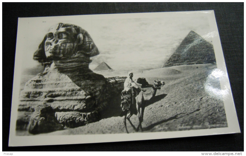 EGITTO SFINGE E PIRAMIDE - Sphinx