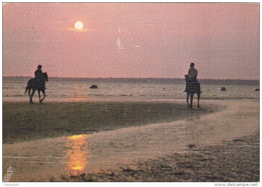 Cp , CONTRE La LUMIÈRE , Coucher De Soleil , Poème Silviane Le Menn , Chevaux - Contre La Lumière